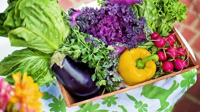 Gemüse und Gemüse in der Diät der Ducan-Diät